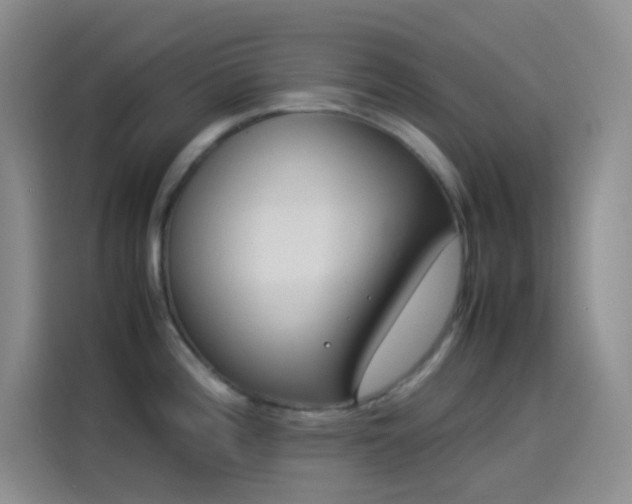 X0000114091196200910131250