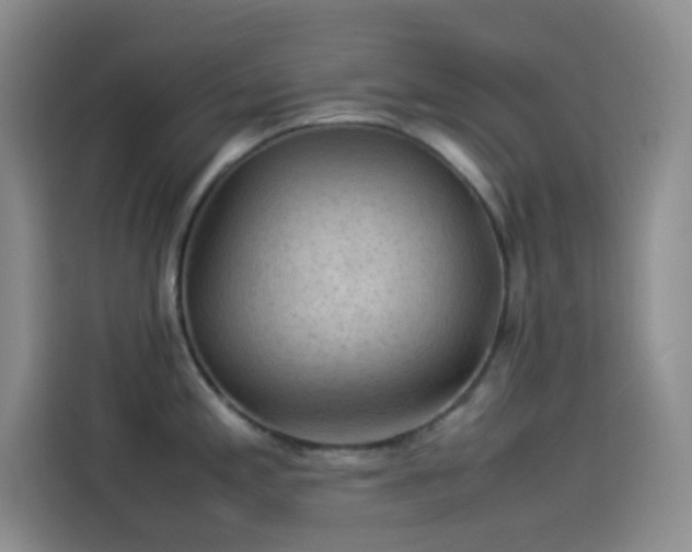 X0000114091197200910131250