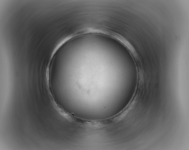 X0000114091198200910131250