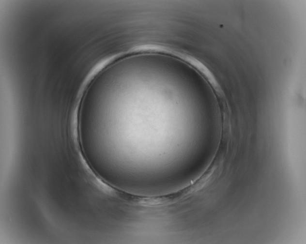 X0000114091199200910131250