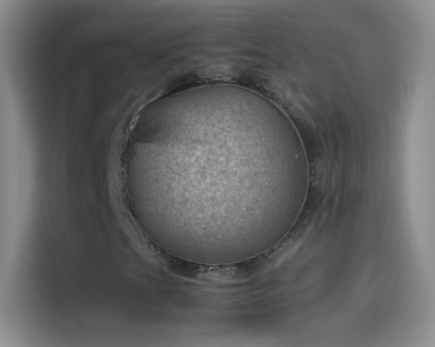 X0000114091201200910131249