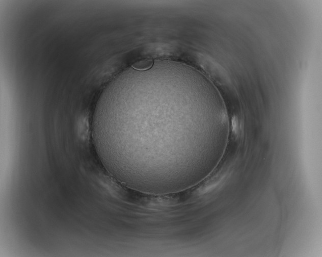 X0000114091203200910131249