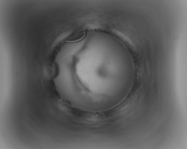 X0000114091207200910131249