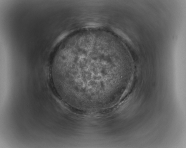 X0000114091208200910131249