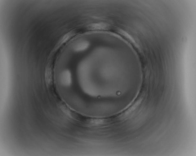 X0000114091211200910131249