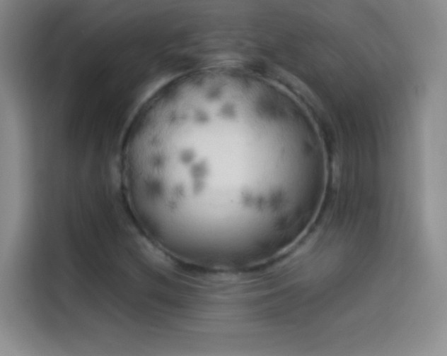X0000114091212200910131249