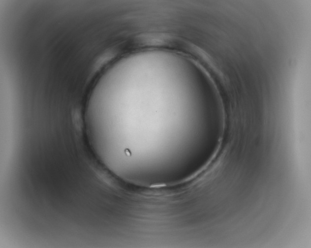 X0000114091218200910131250