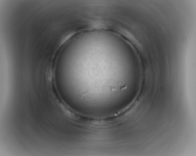 X0000114091220200910131250
