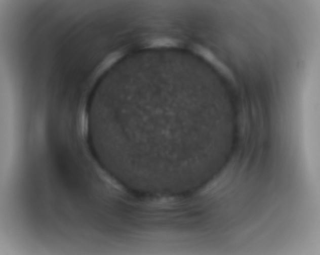X0000114091221200910131250