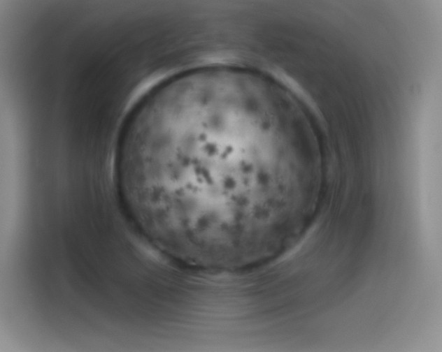 X0000114091222200910131250