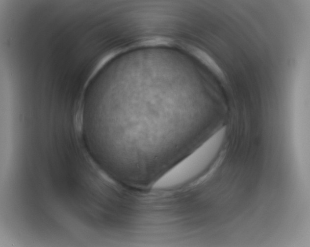 X0000114091228200910131250