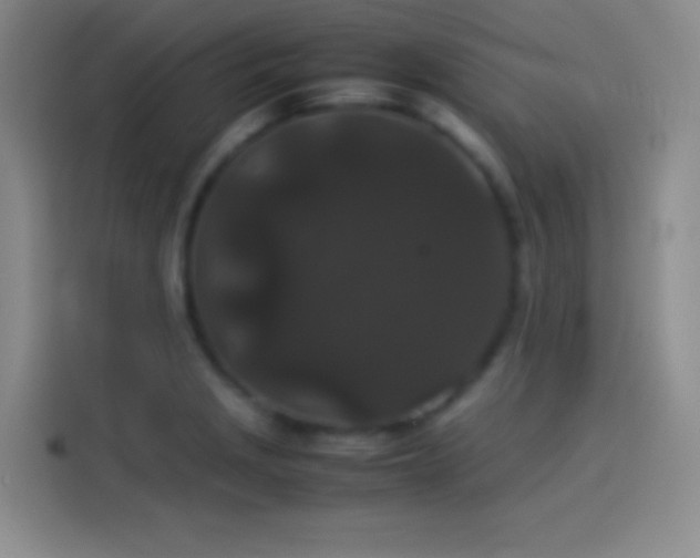X0000114091229200910131250