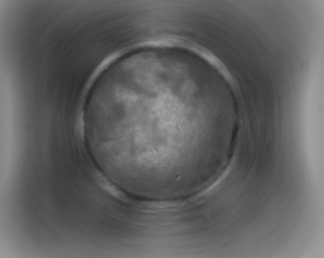 X0000114091232200910131250