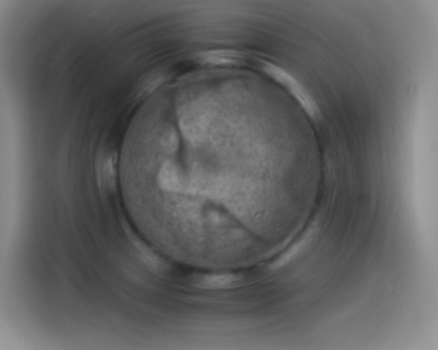 X0000114091233200910131250