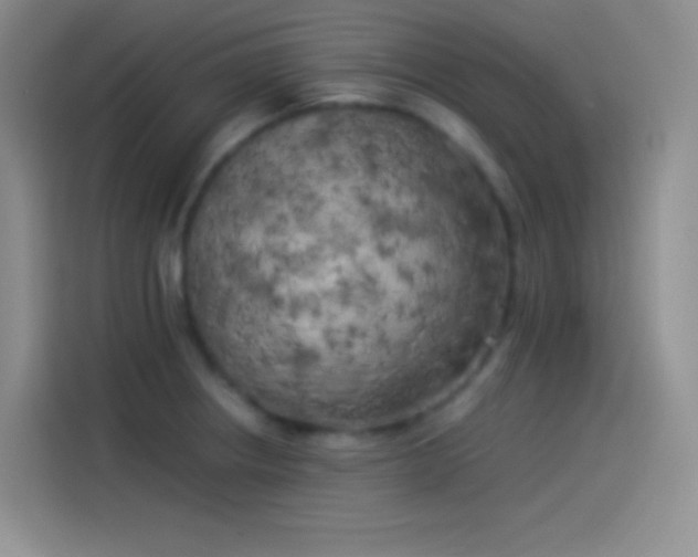 X0000114091234200910131250