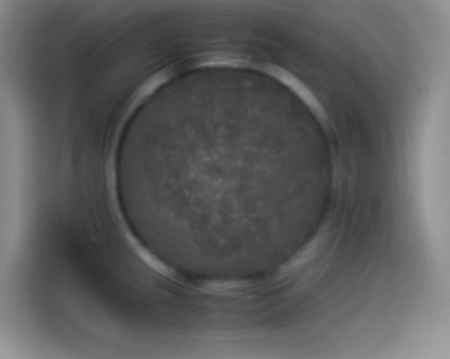 X0000114091237200910131250