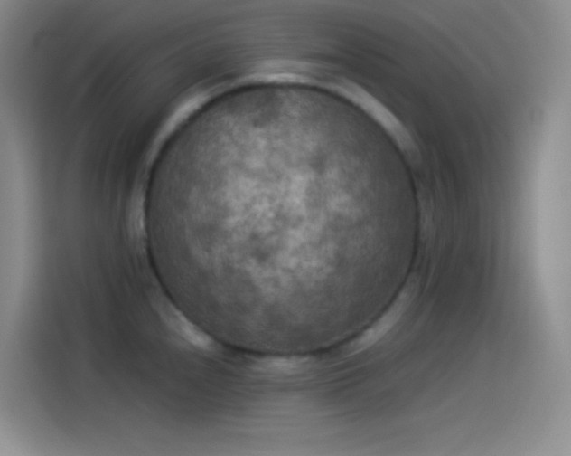 X0000114091240200910131250