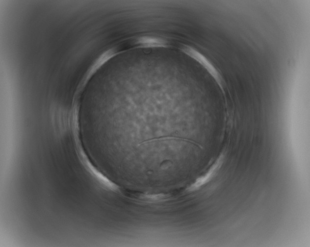 X0000114091243200910131250