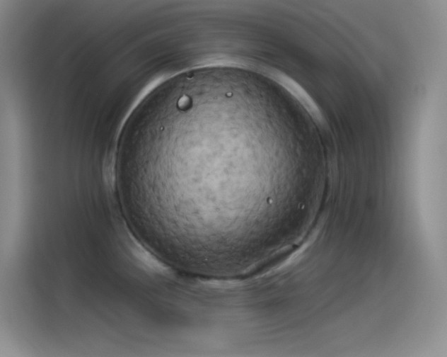 X0000114091244200910131250