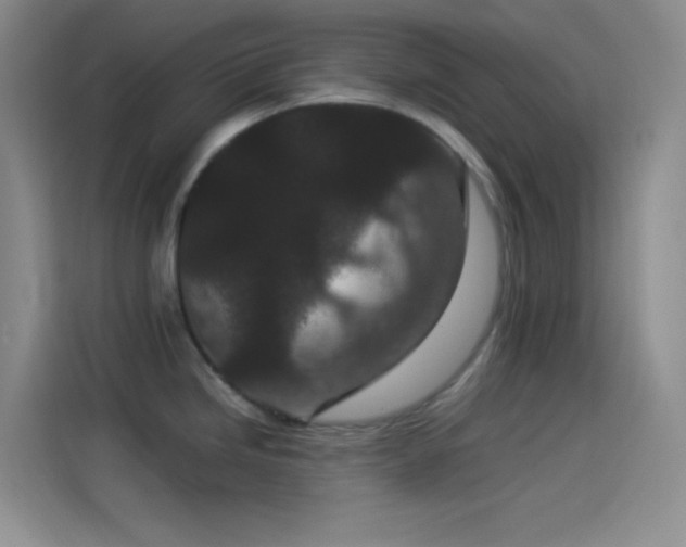 X0000114091246200910131250