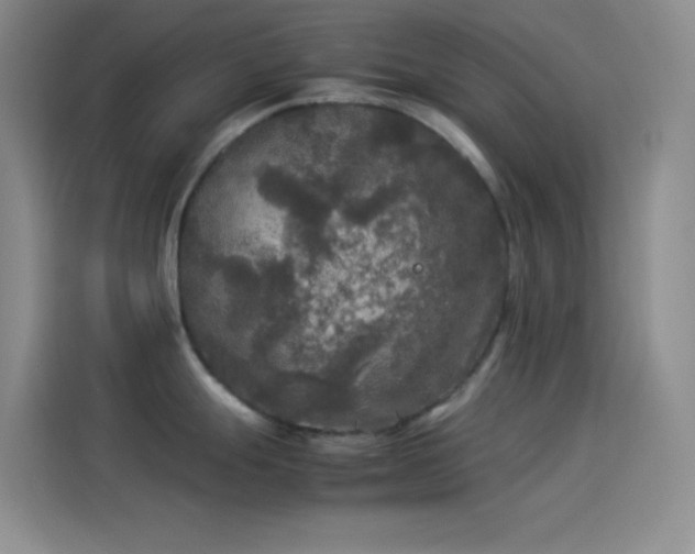 X0000114091247200910131250