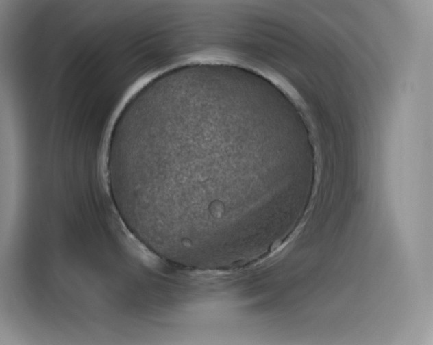 X0000114091248200910131250