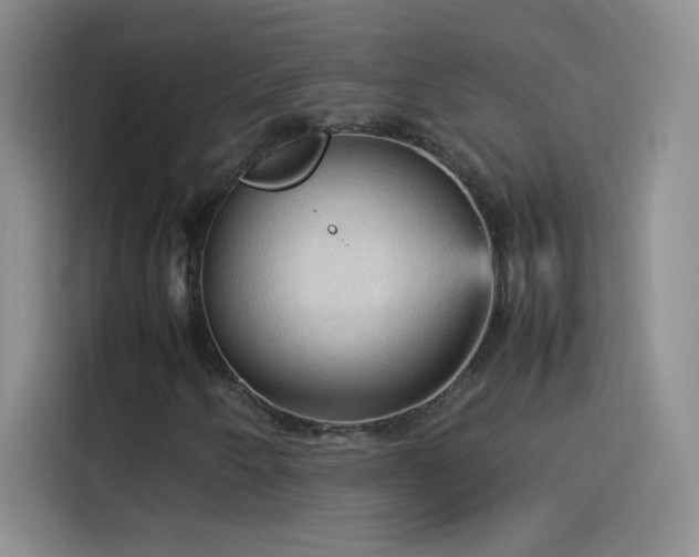 X0000114091250200910131249