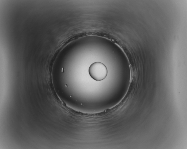 X0000114091252200910131249