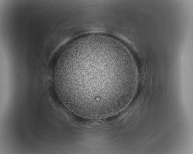 X0000114091255200910131249