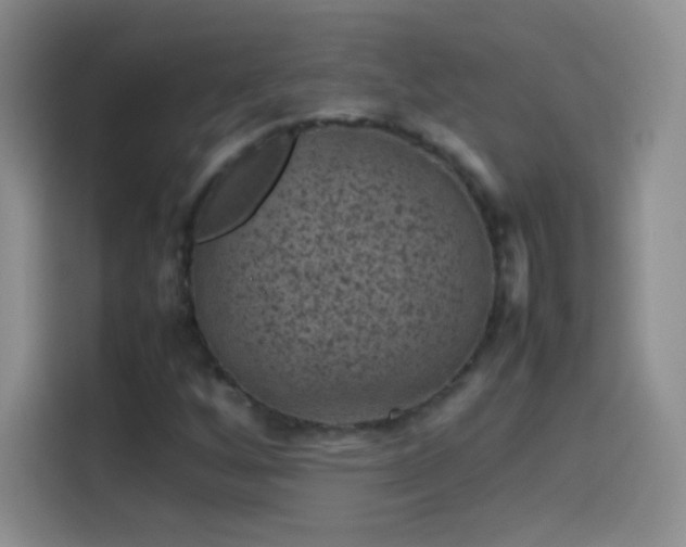 X0000114091256200910131249