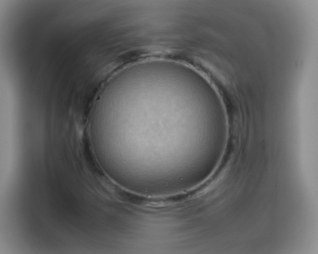 X0000114091257200910131249