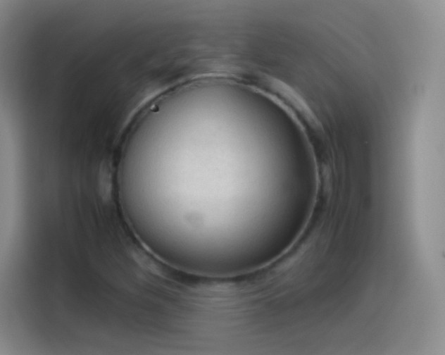 X0000114091260200910131249