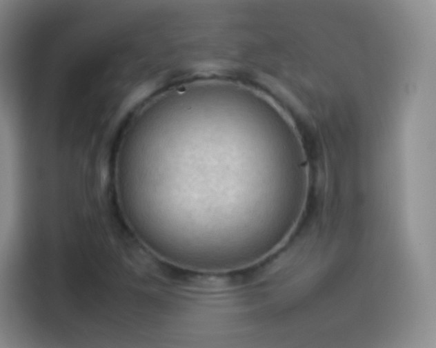 X0000114091261200910131249