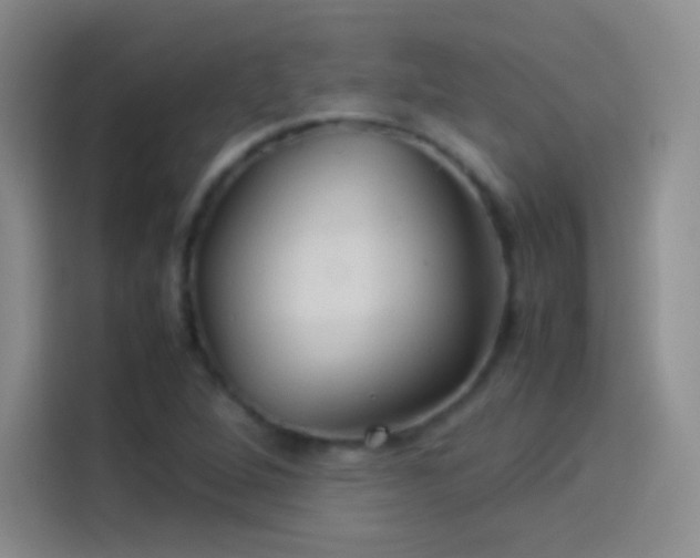 X0000114091264200910131249