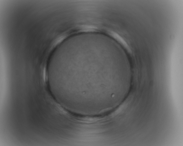 X0000114091269200910131249