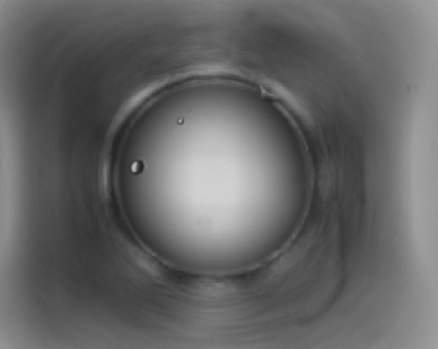 X0000114091270200910131249