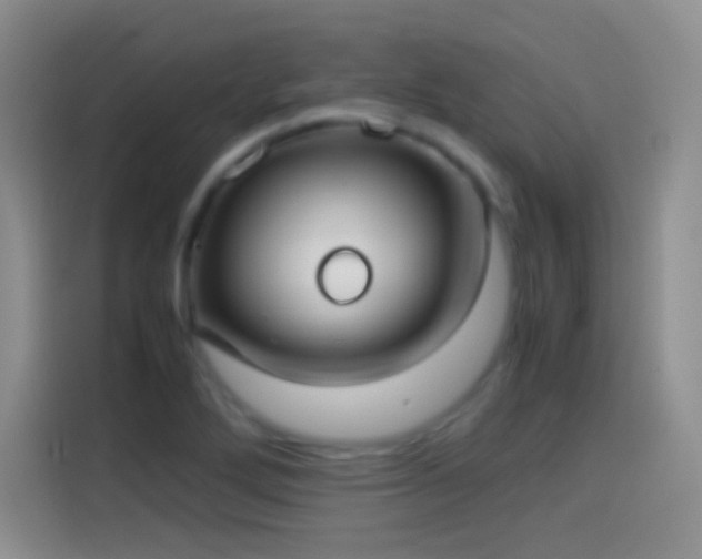 X0000114091272200910131249