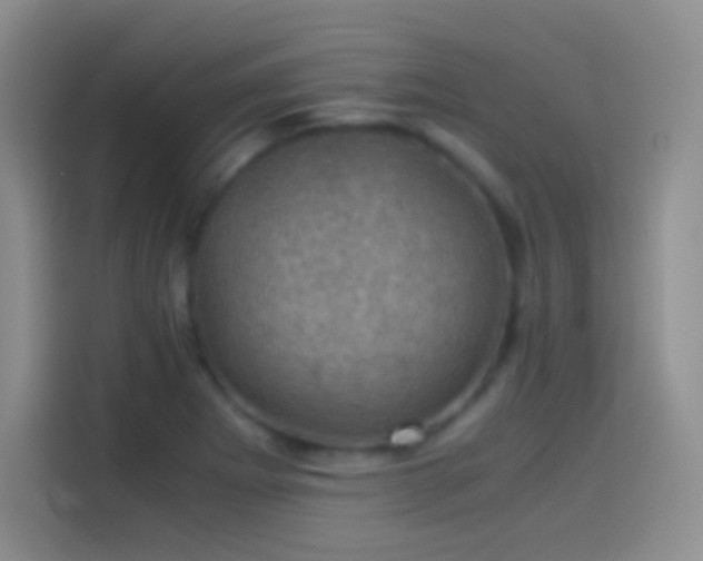 X0000114091273200910131249