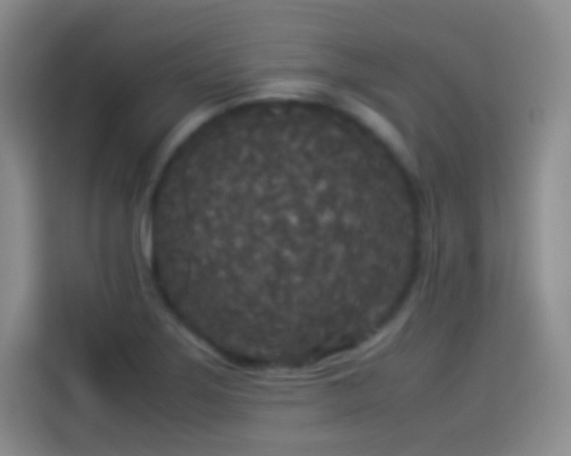 X0000114091275200910131249