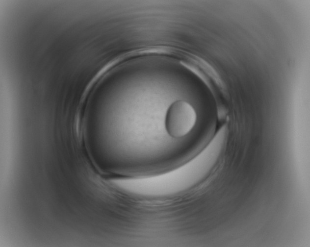 X0000114091276200910131249