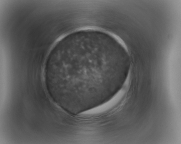 X0000114091279200910131249