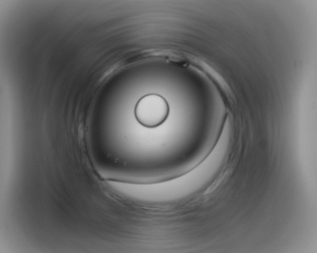 X0000114091281200910131249