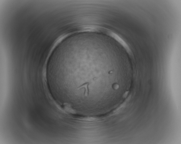 X0000114091283200910131249