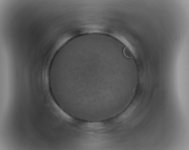X0000114091285200910131249