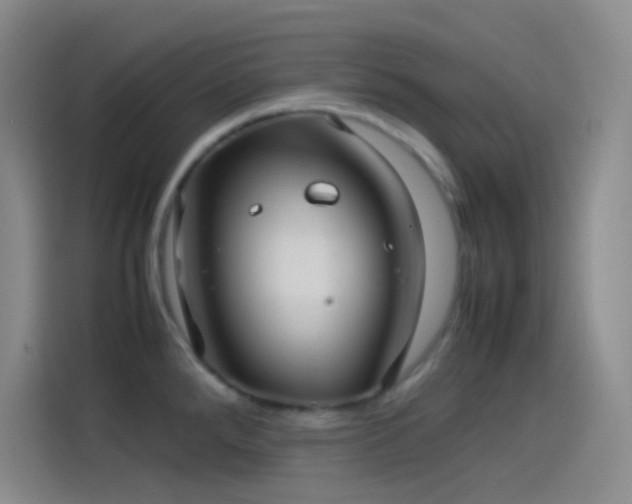 X0000114091288200910131249