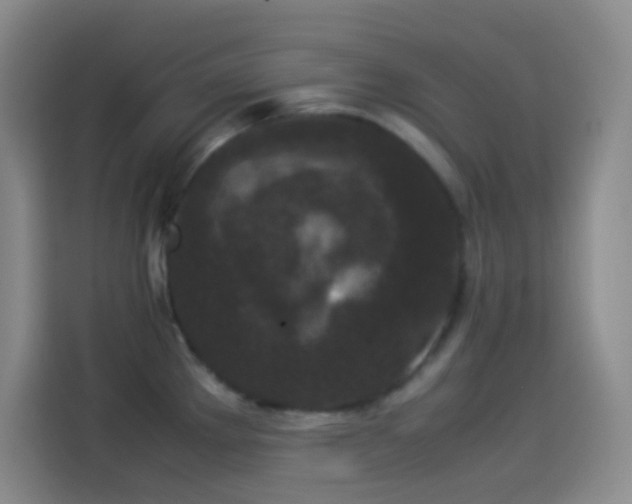 X0000114091289200910131249