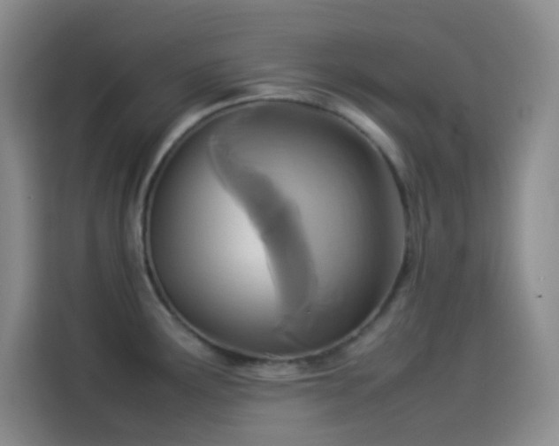 X0000114091291200910131249
