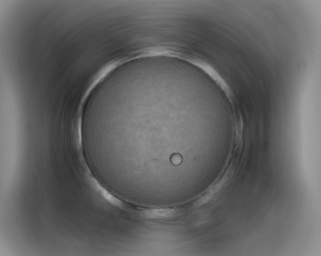 X0000114091294200910131249