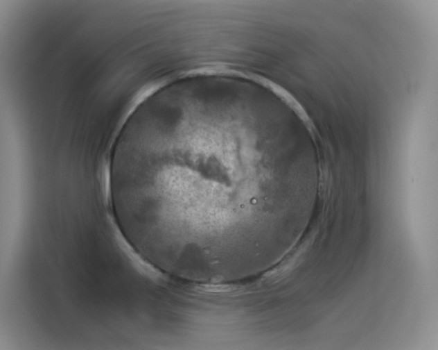 X0000114091295200910131249