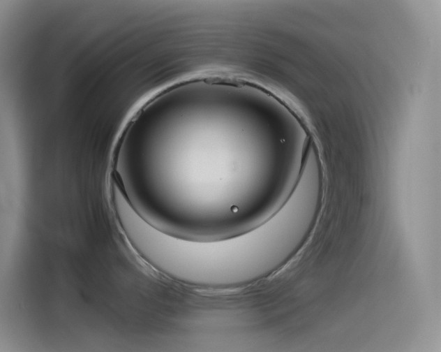 X0000114091296200910131249